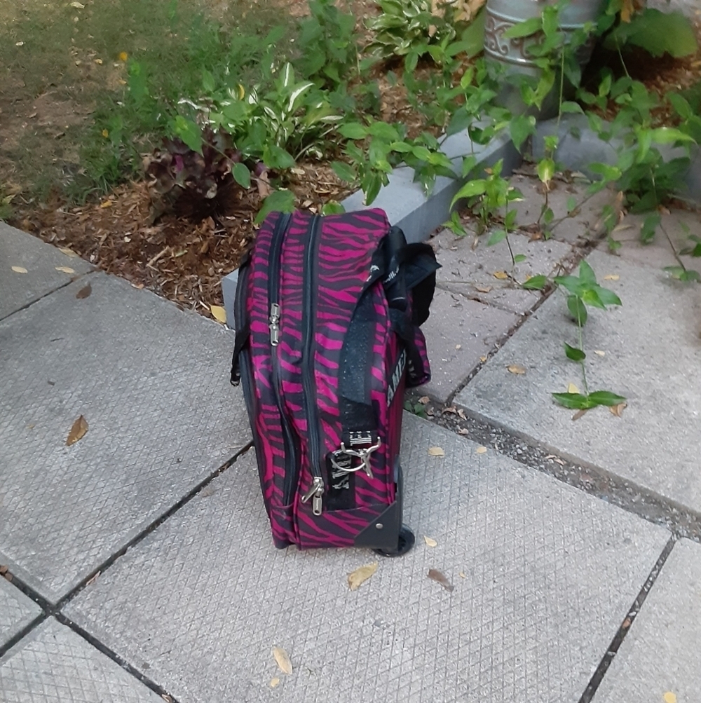 Stylish Pink Zebra Print Travel Bag - Picture 4 of 16
